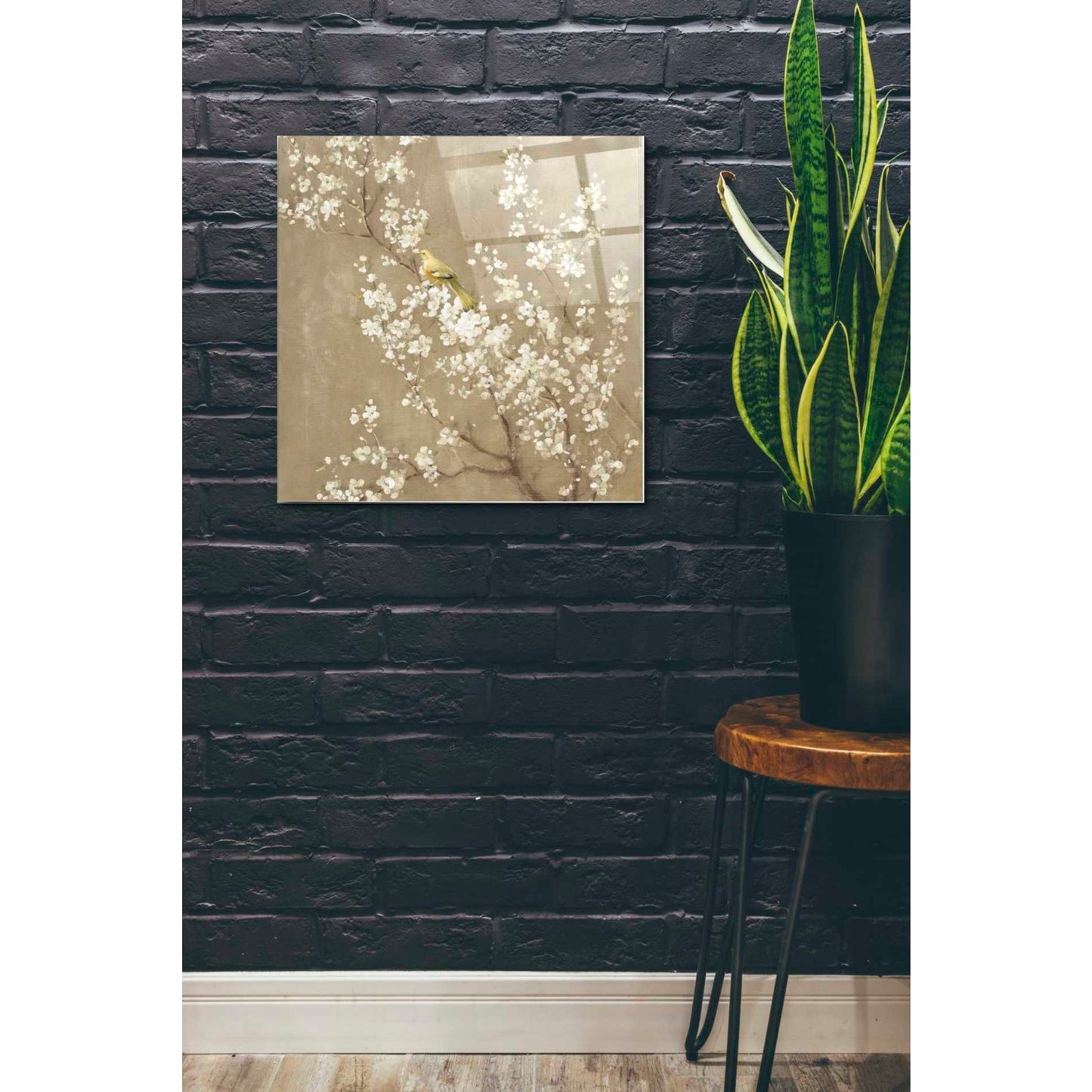 Epic Art 'White Cherry Blossom II Neutral' by Danhui Nai, Acrylic Glass Wall Art,24x24
