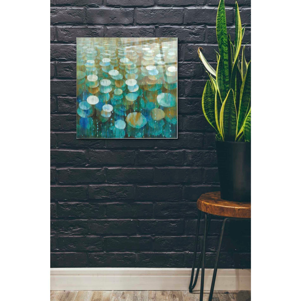 Epic Art 'Rain Drops' by Danhui Nai, Acrylic Glass Wall Art,24x24