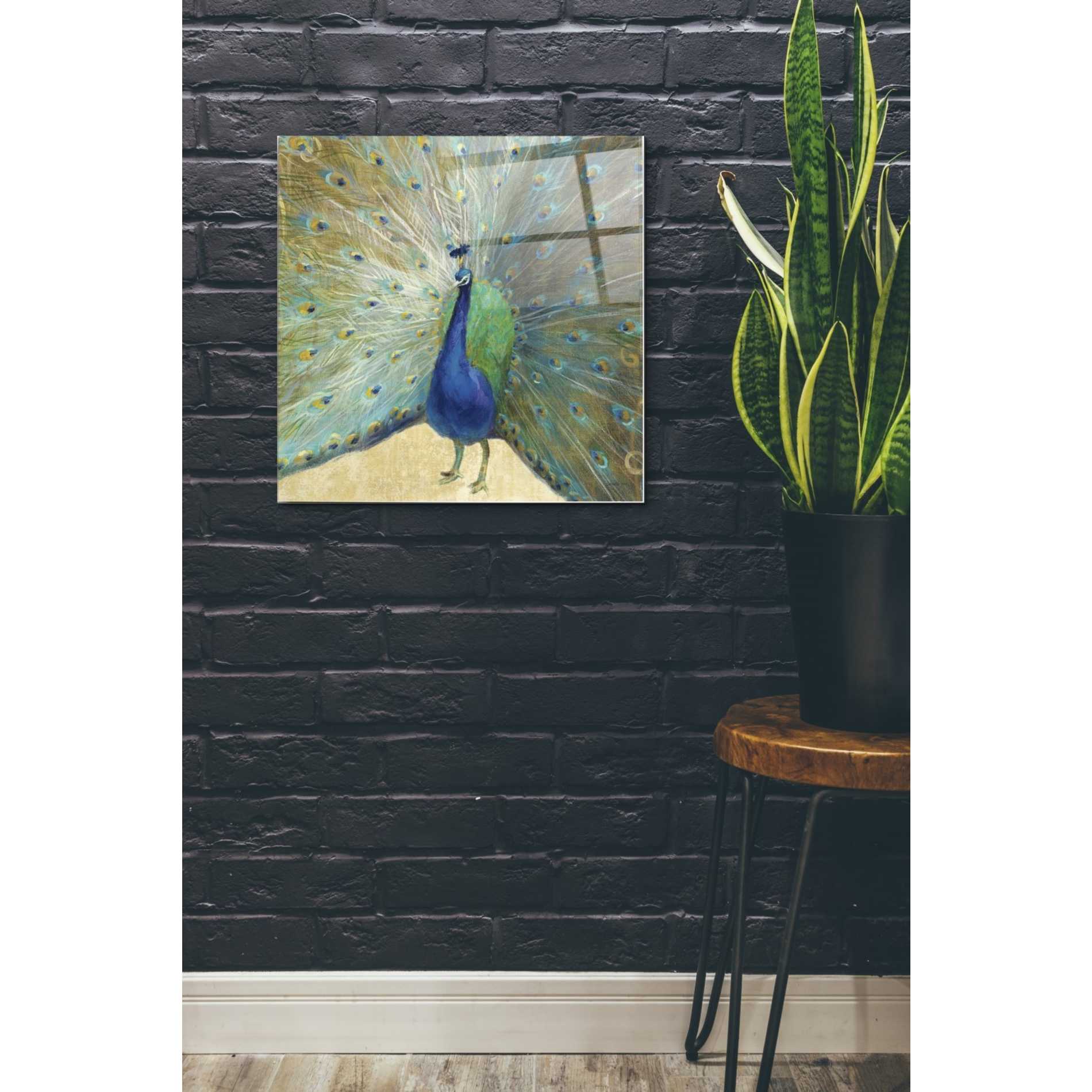 Epic Art 'Blue Peacock' by Danhui Nai, Acrylic Glass Wall Art,24x24