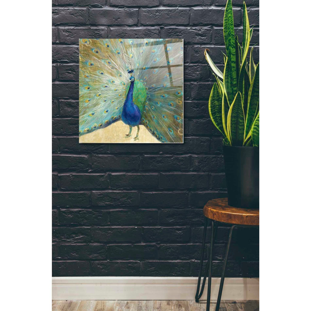 Epic Art 'Blue Peacock' by Danhui Nai, Acrylic Glass Wall Art,24x24