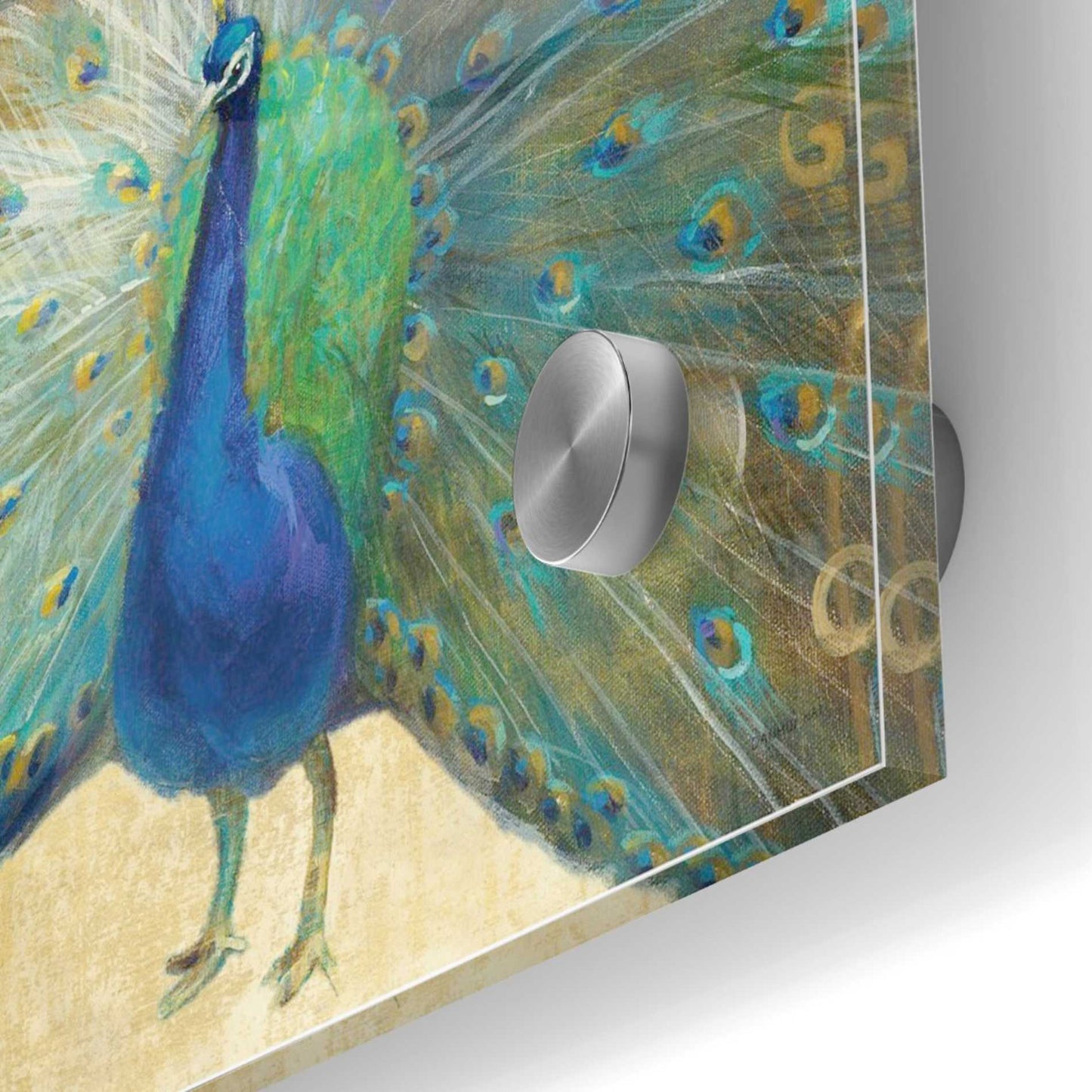 Epic Art 'Blue Peacock' by Danhui Nai, Acrylic Glass Wall Art,24x24