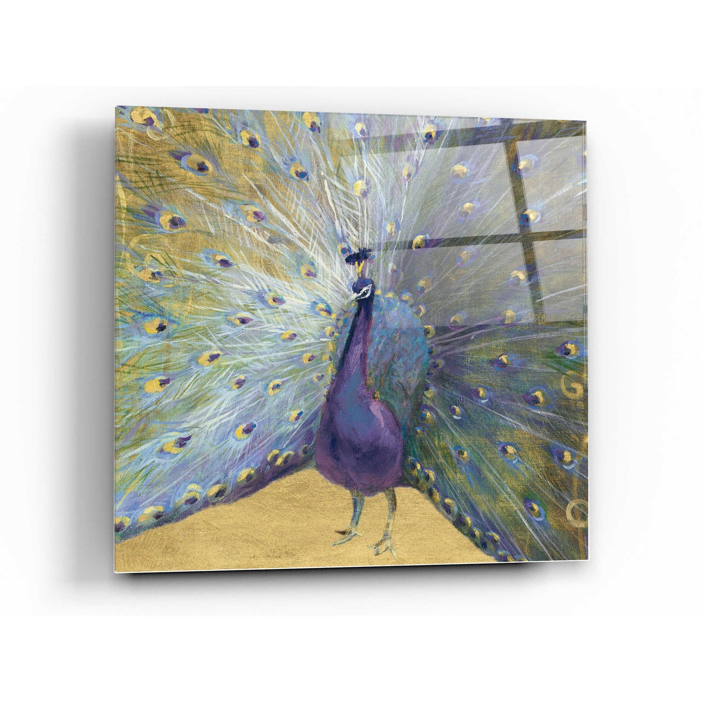 Epic Art 'Purple And Gold Peacock' by Danhui Nai, Acrylic Glass Wall Art,24x24