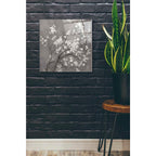 Epic Art 'White Cherry Blossom I on Grey' by Danhui Nai, Acrylic Glass Wall Art,24x24