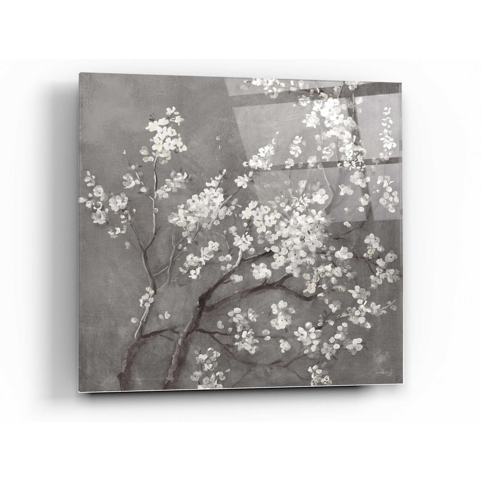 Epic Art 'White Cherry Blossom I on Grey' by Danhui Nai, Acrylic Glass Wall Art,24x24