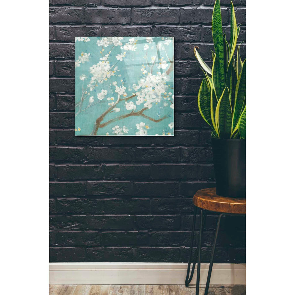 Epic Art 'White Cherry Blossom I on Blue' by Danhui Nai, Acrylic Glass Wall Art,24x24