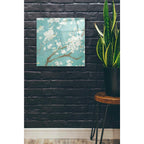 Epic Art 'White Cherry Blossom I on Blue' by Danhui Nai, Acrylic Glass Wall Art,24x24
