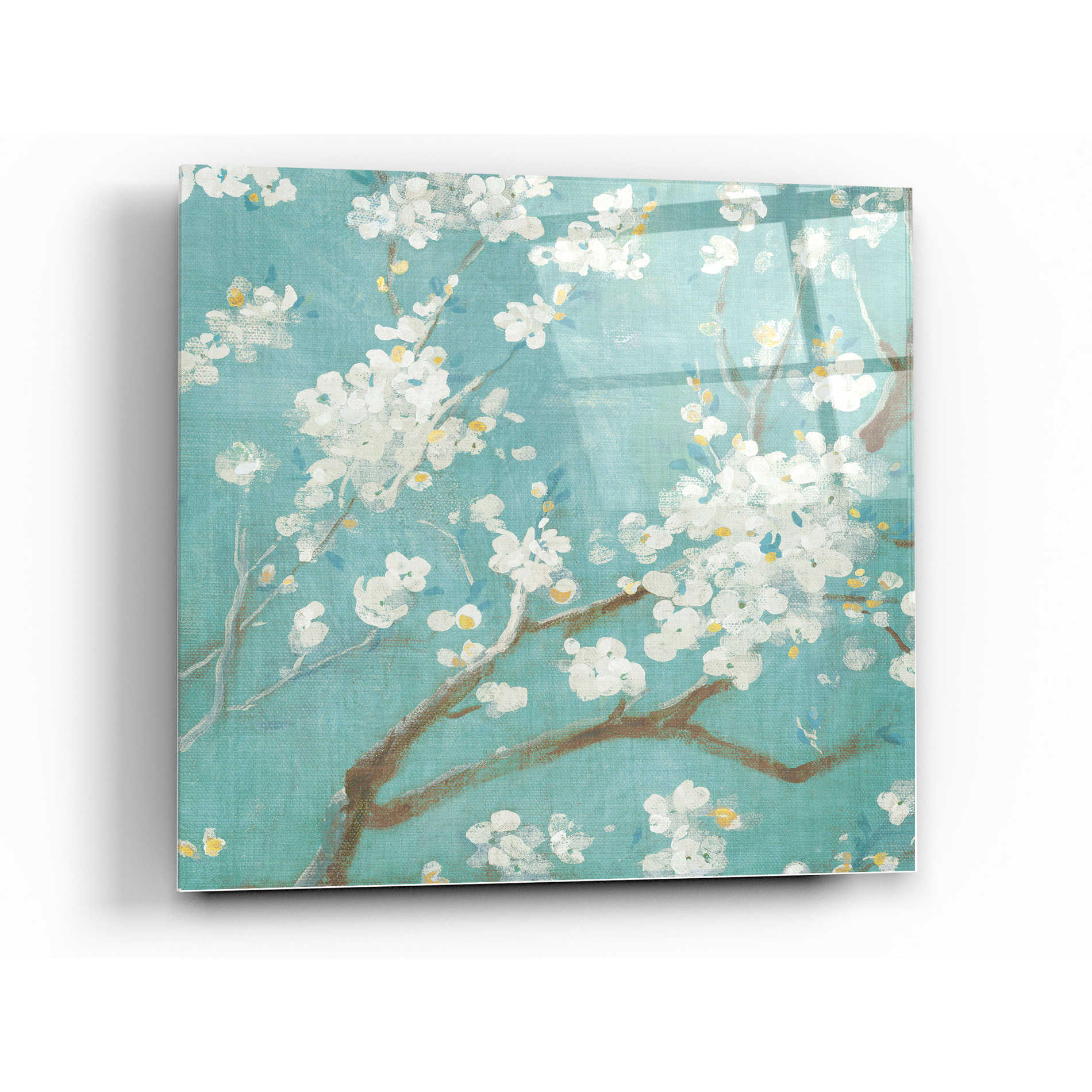 Epic Art 'White Cherry Blossom I on Blue' by Danhui Nai, Acrylic Glass Wall Art,24x24