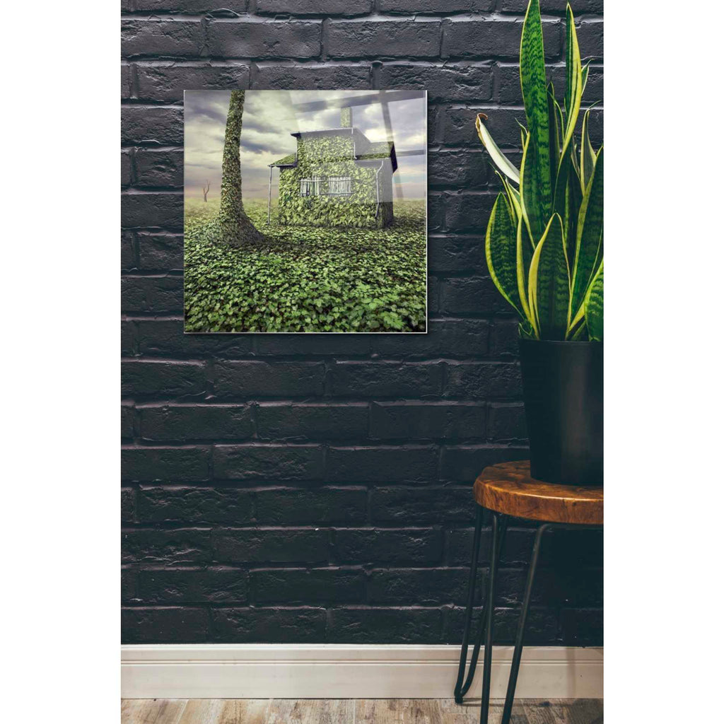 Epic Art 'House of Leaves' by Dariusz Klimczak, Acrylic Glass Wall Art,24x24