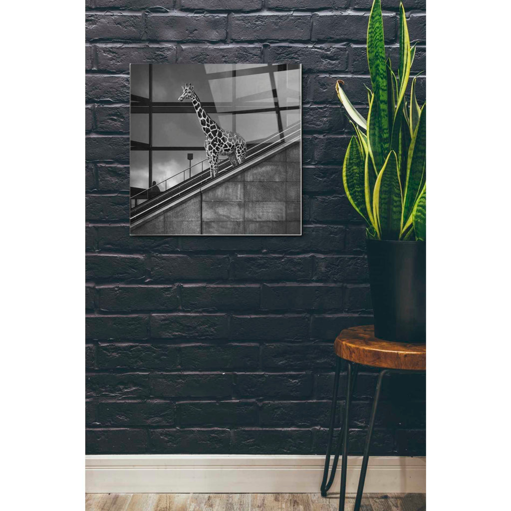 Epic Art 'Downstairs' by Dariusz Klimczak, Acrylic Glass Wall Art,24x24