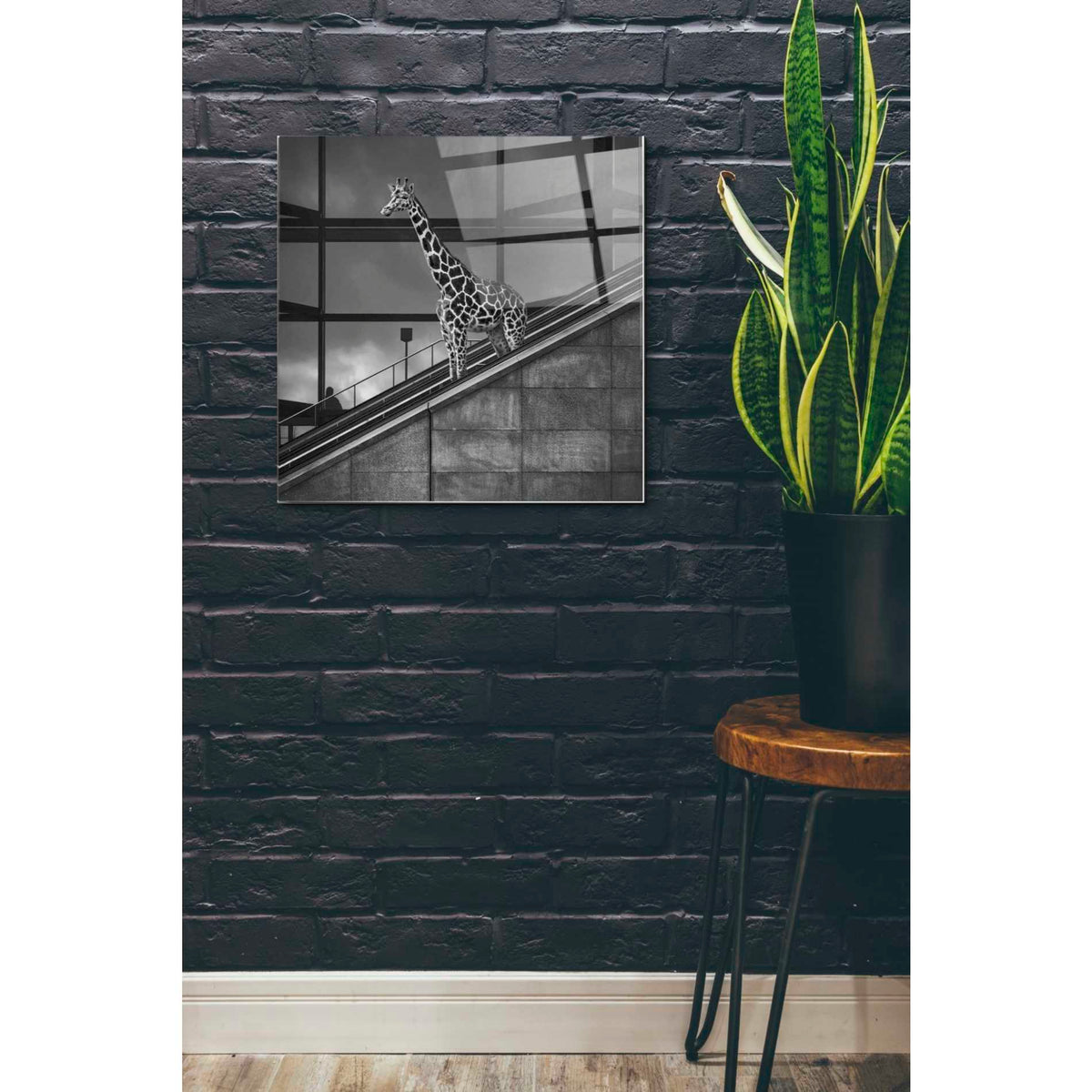 Epic Art 'Downstairs' by Dariusz Klimczak, Acrylic Glass Wall Art,24x24