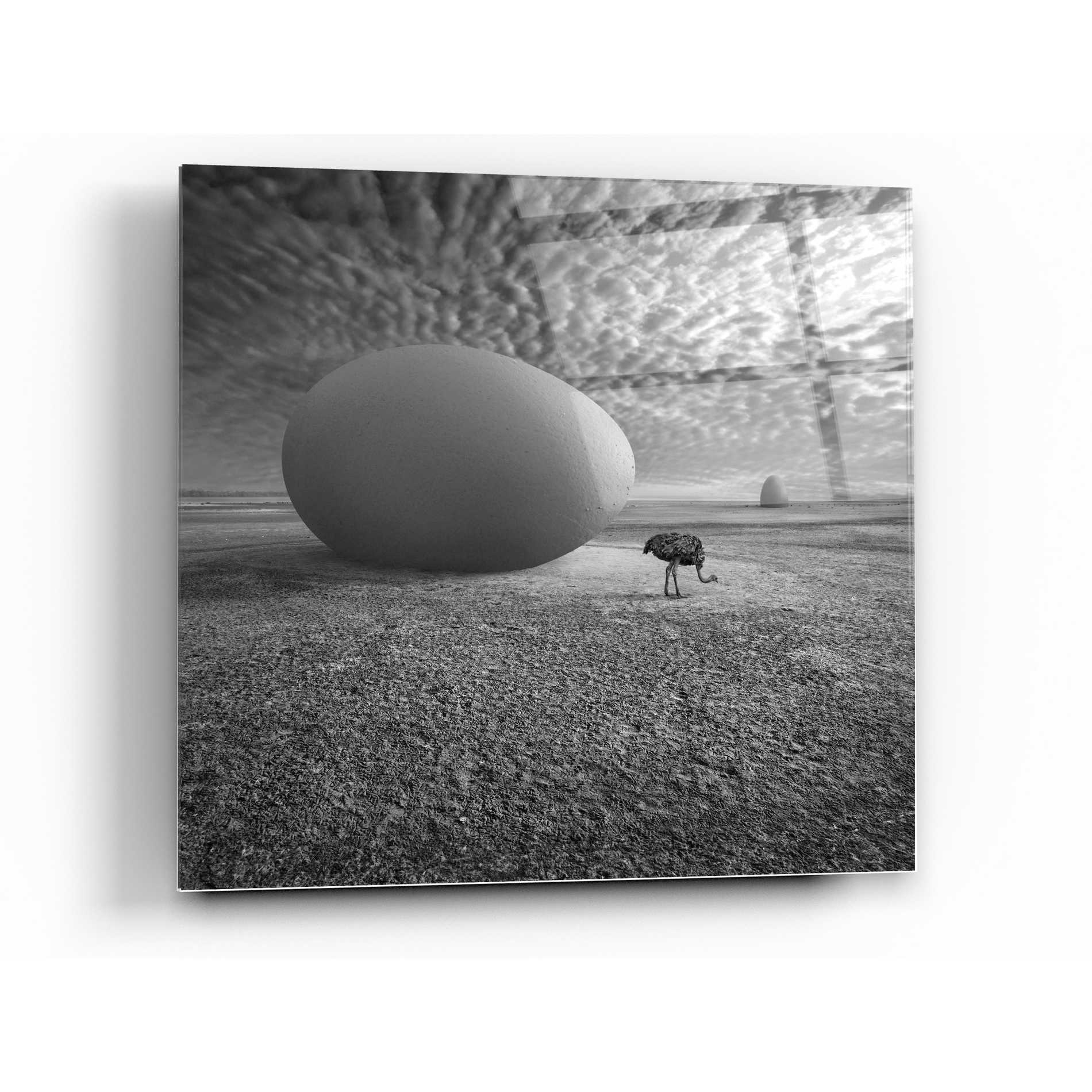 Epic Art 'EggO' by Dariusz Klimczak, Acrylic Glass Wall Art,24x24