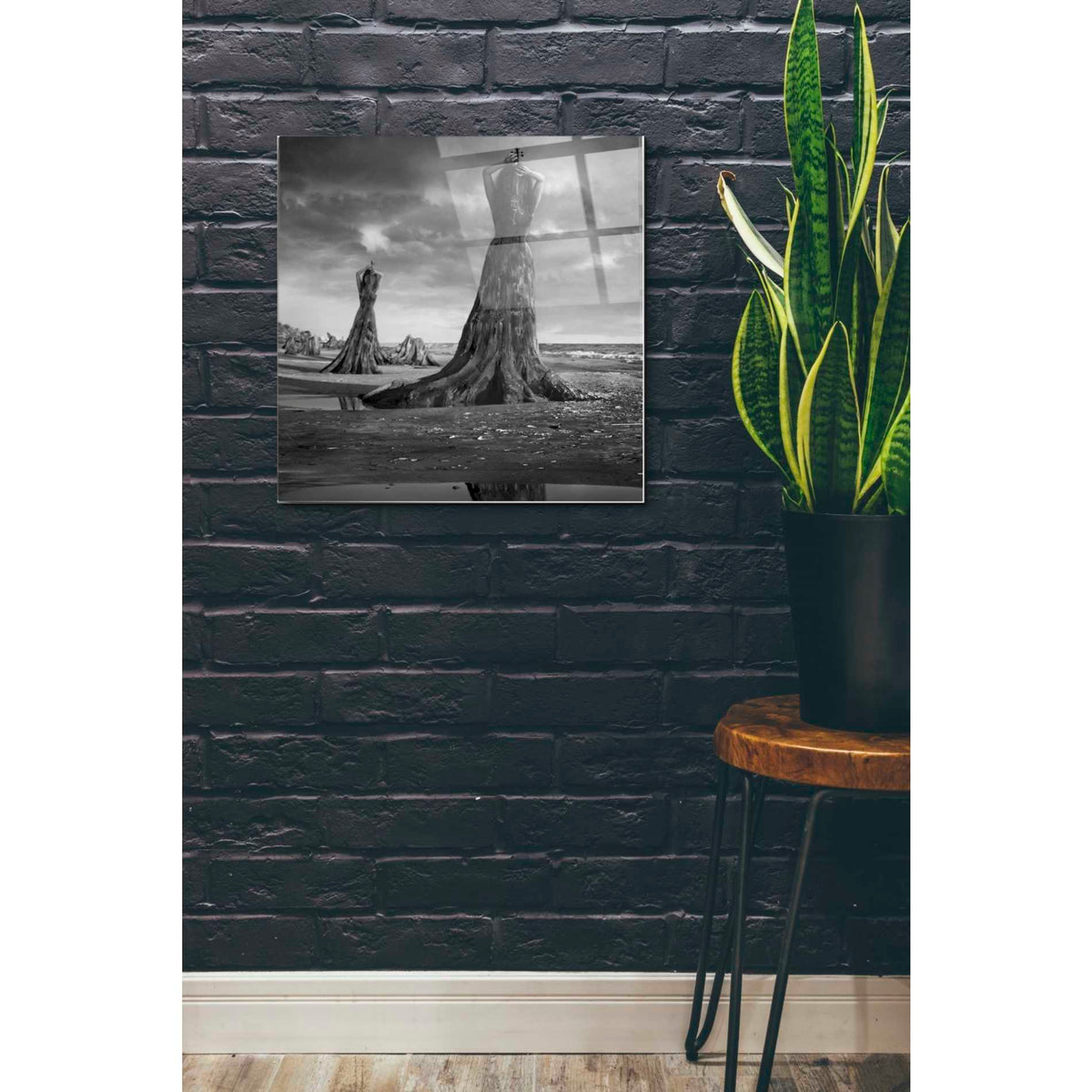 Epic Art 'Moll' by Dariusz Klimczak, Acrylic Glass Wall Art,24x24