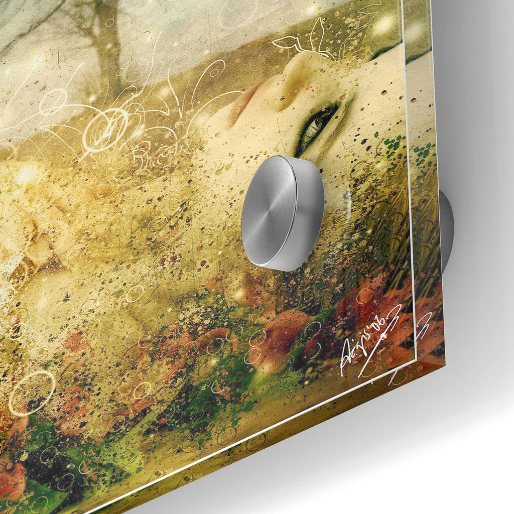 Epic Art 'The Maysong' by Mario Sanchez Nevado, Acrylic Glass Wall Art,24x36