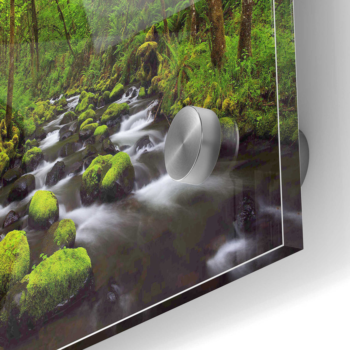Epic Art "Where the Green Grows" by Darren White, Acrylic Glass Wall Art,24x36