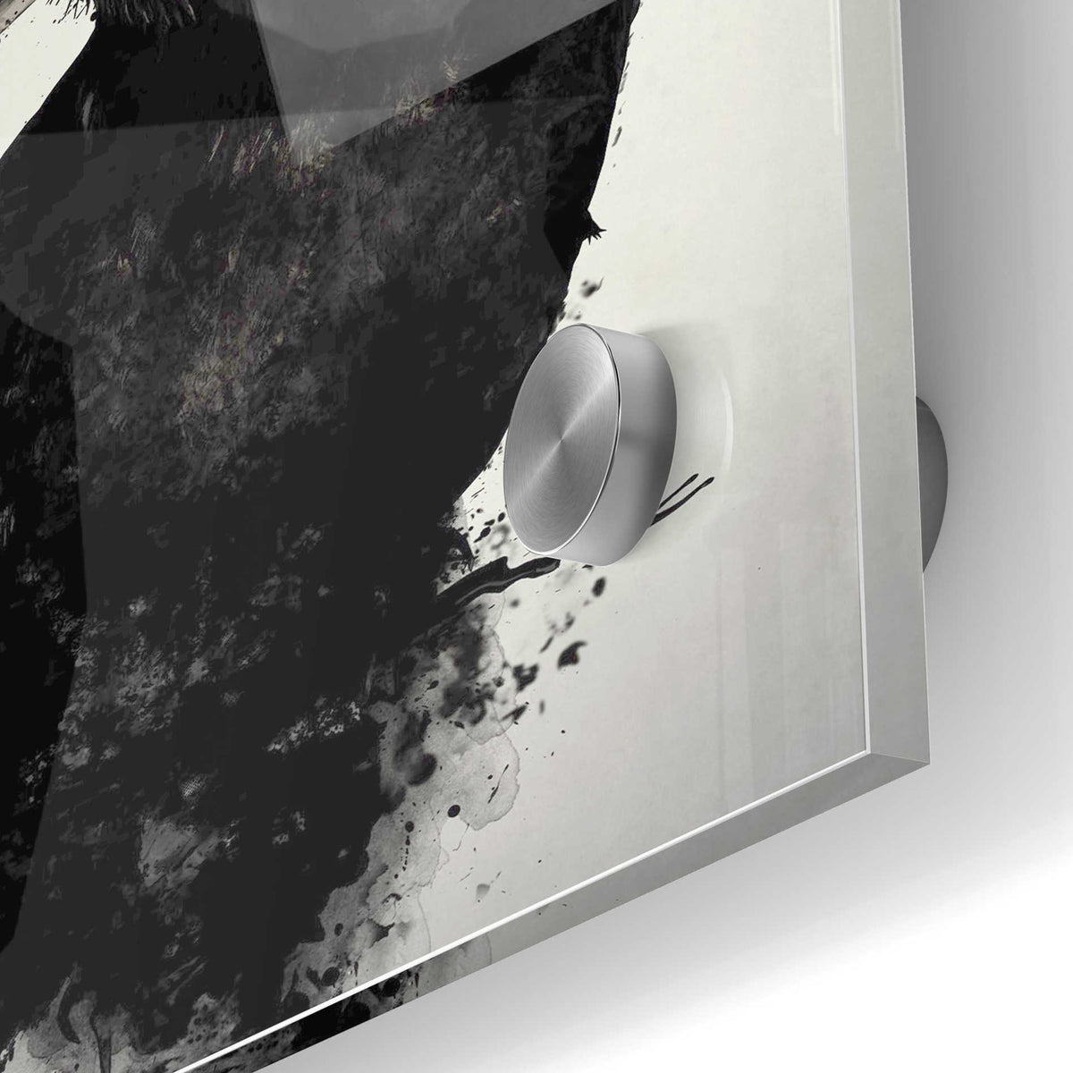 Epic Art 'The Raven' by Nicklas Gustafsson, Acrylic Glass Wall Art,24x36