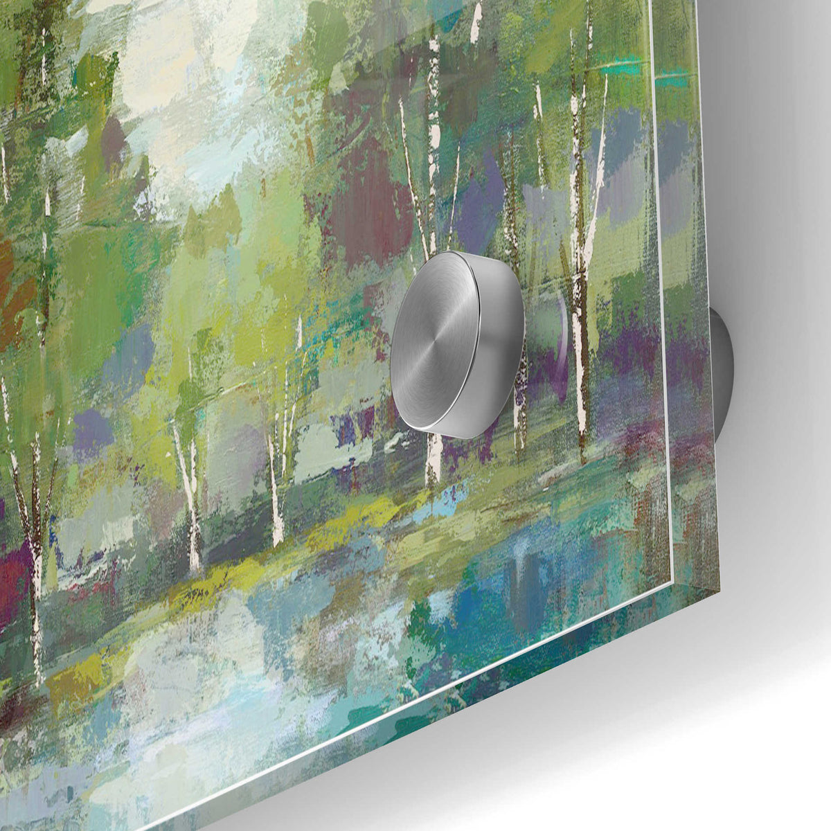 Epic Art 'Forest At Dawn' by Silvia Vassileva, Acrylic Glass Wall Art,24x36