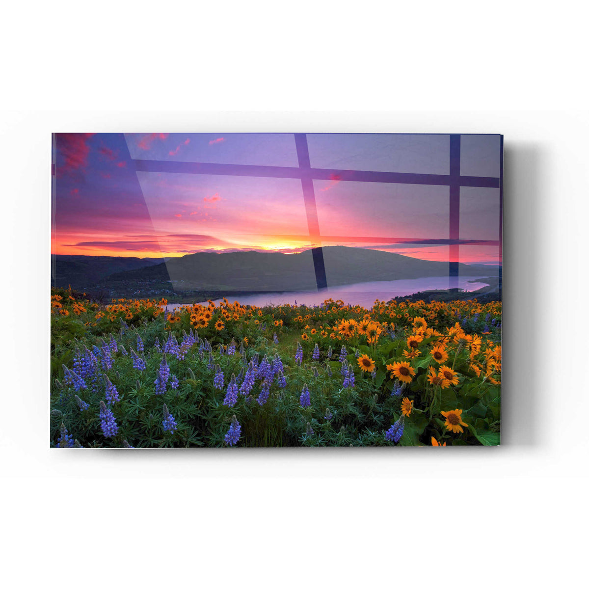Epic Art 'Paradise Garden' by Jesse Estes, Acrylic Glass Wall Art,24x36
