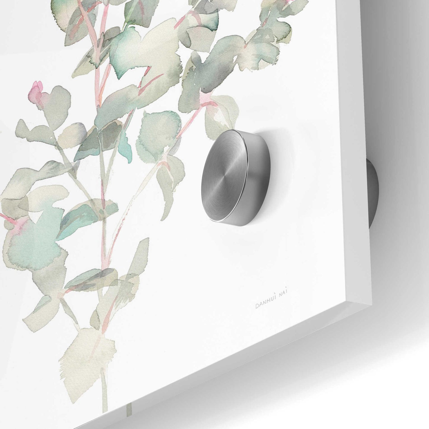Epic Art 'Eucalyptus II White' by Danhui Nai, Acrylic Glass Wall Art,24x36