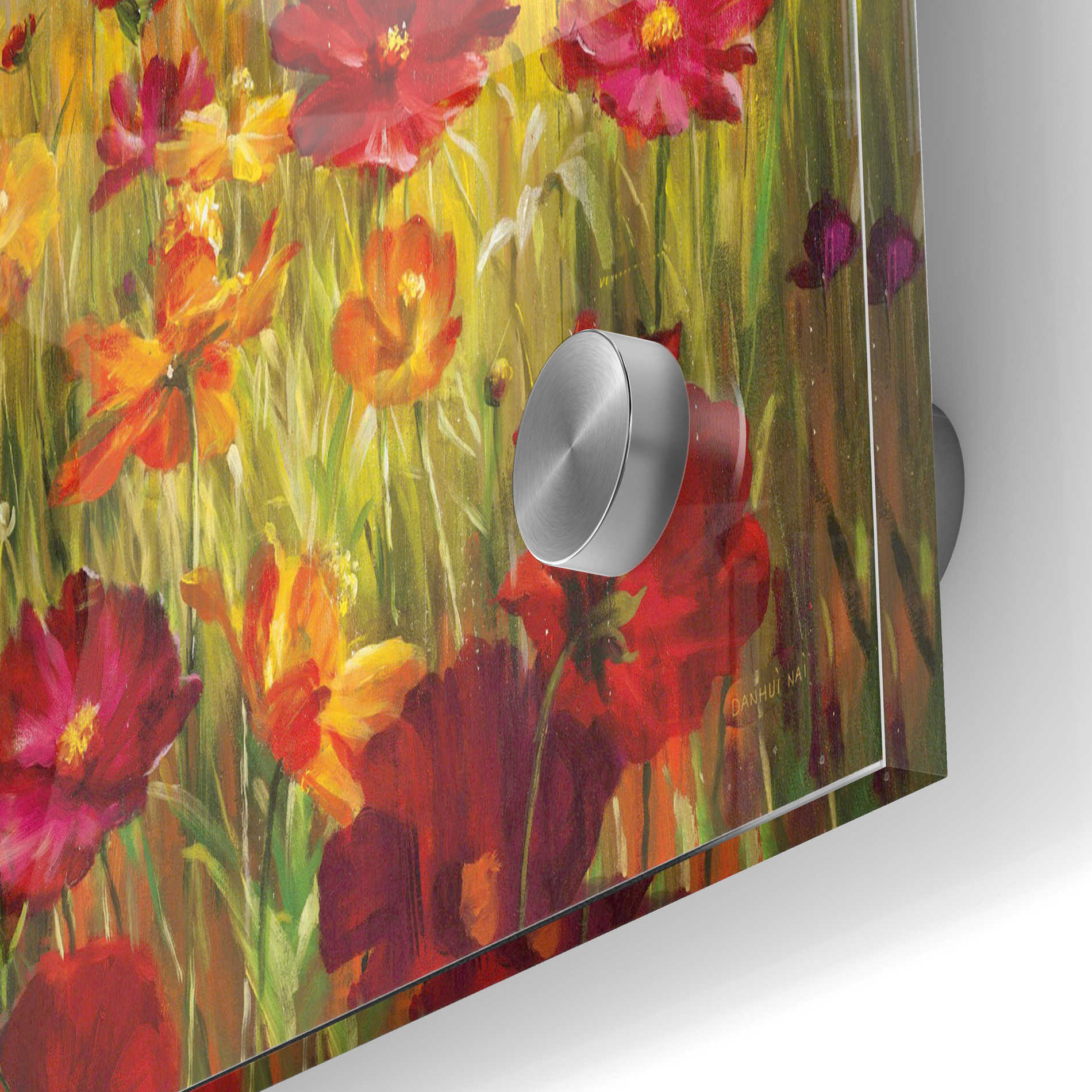 Epic Art 'Cosmos in the Field' by Danhui Nai, Acrylic Glass Wall Art,24x36
