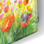 Epic Art 'Meadow Poppies' by Danhui Nai, Acrylic Glass Wall Art,24x36