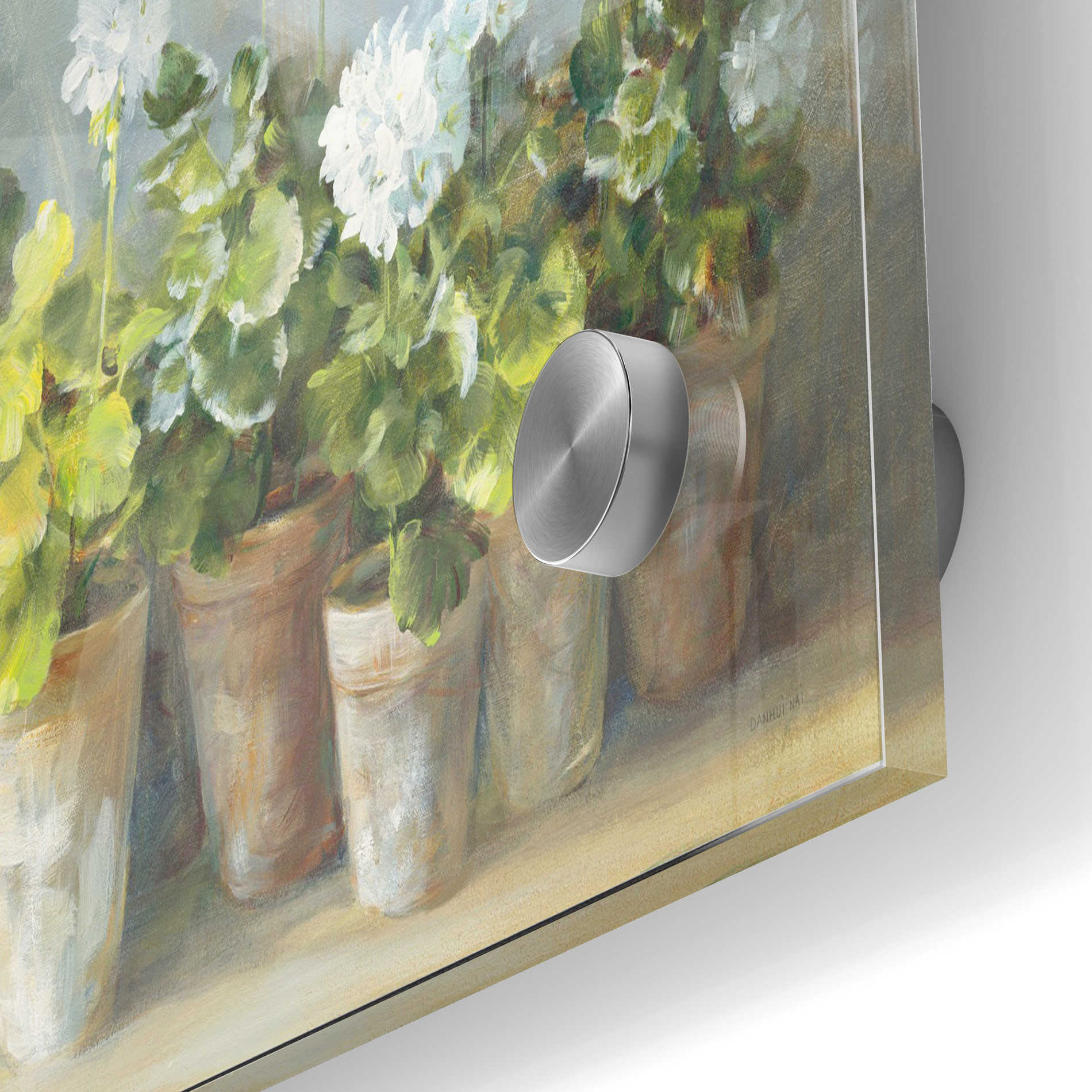 Epic Art 'White Geraniums Crop' by Danhui Nai, Acrylic Glass Wall Art,24x36