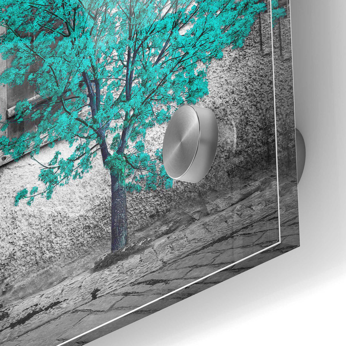 Epic Art "Wisdom" Acrylic Glass Wall Art,24x36