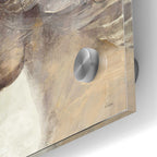 Epic Art 'Into the Wind Ivory Crop' by Albena Hristova, Acrylic Glass Wall Art,24x36