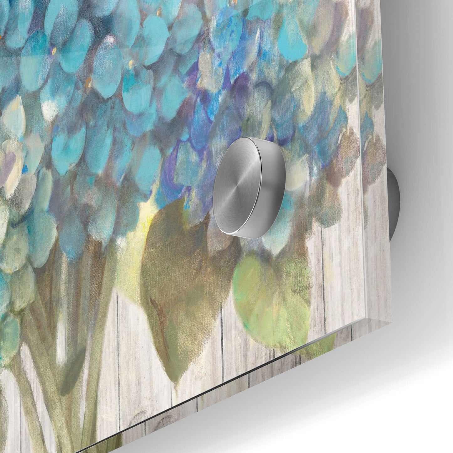 Epic Art 'Turquoise Hydrangea on Barn Board' by Albena Hristova, Acrylic Glass Wall Art,24x36