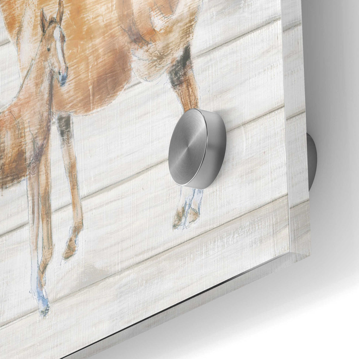 Epic Art 'Horse and Colt on Wood' by Emily Adams, Acrylic Glass Wall Art,24x36