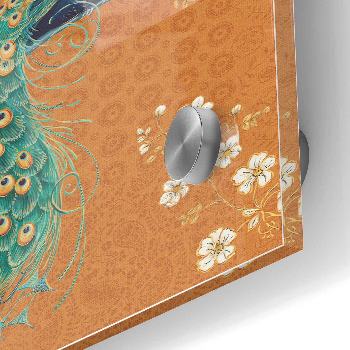 Epic Art 'Ornate Peacock IX Spice' by Daphne Brissonet, Acrylic Glass Wall Art,24x36