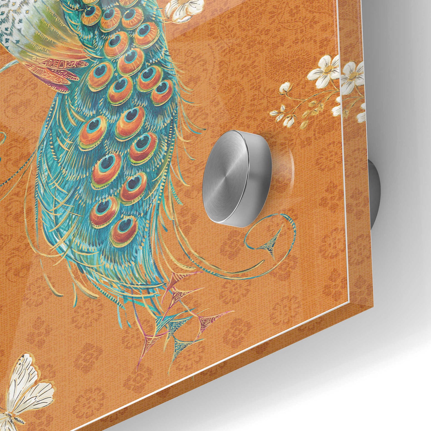 Epic Art 'Ornate Peacock X Spice' by Daphne Brissonet, Acrylic Glass Wall Art,24x36