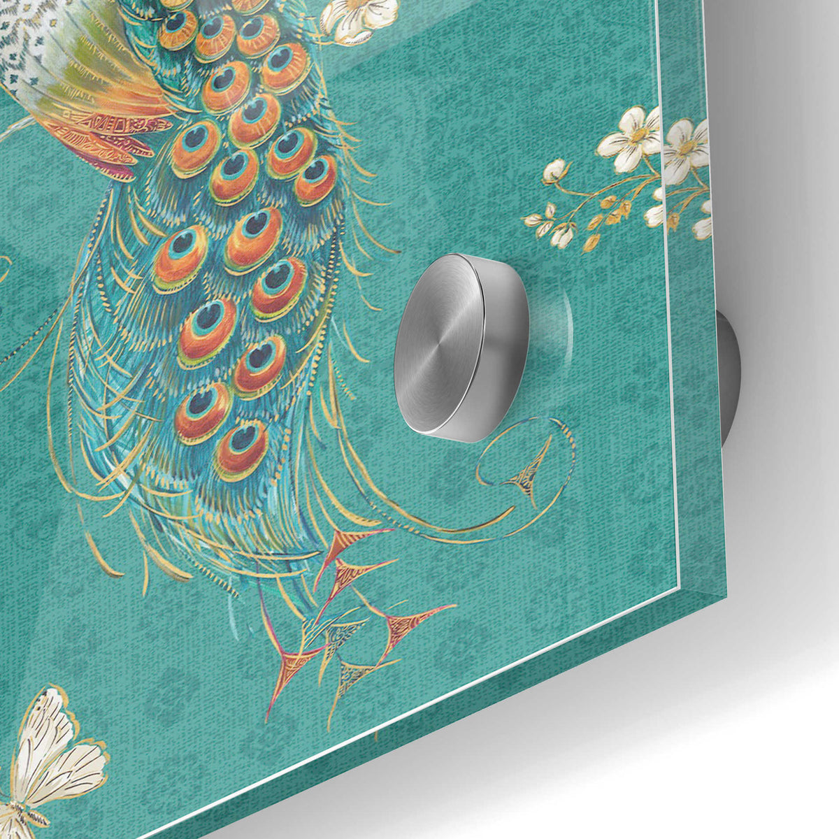 Epic Art 'Ornate Peacock XD' by Daphne Brissonet, Acrylic Glass Wall Art,24x36