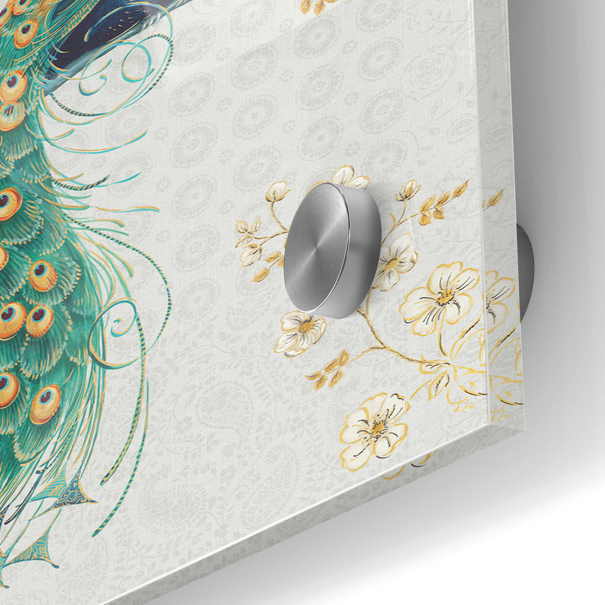 Epic Art 'Ornate Peacock IXA' by Daphne Brissonet, Acrylic Glass Wall Art,24x36