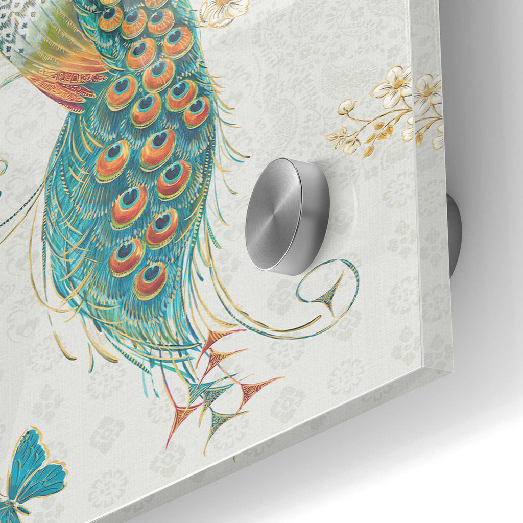 Epic Art 'Ornate Peacock XA' by Daphne Brissonet, Acrylic Glass Wall Art,24x36