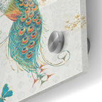 Epic Art 'Ornate Peacock XA' by Daphne Brissonet, Acrylic Glass Wall Art,24x36