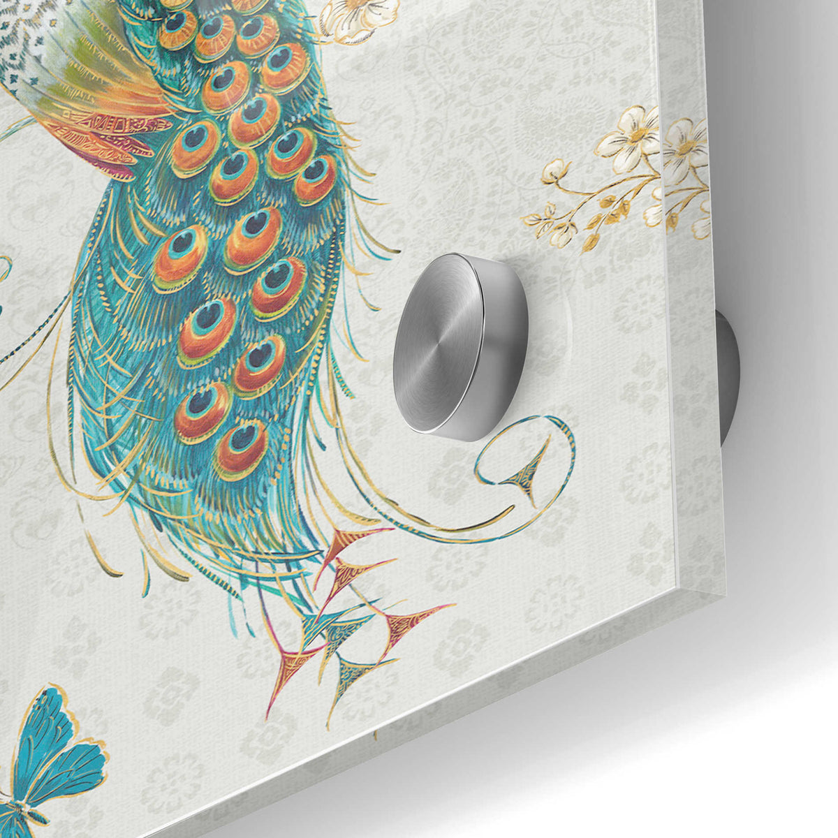 Epic Art 'Ornate Peacock XA' by Daphne Brissonet, Acrylic Glass Wall Art,24x36
