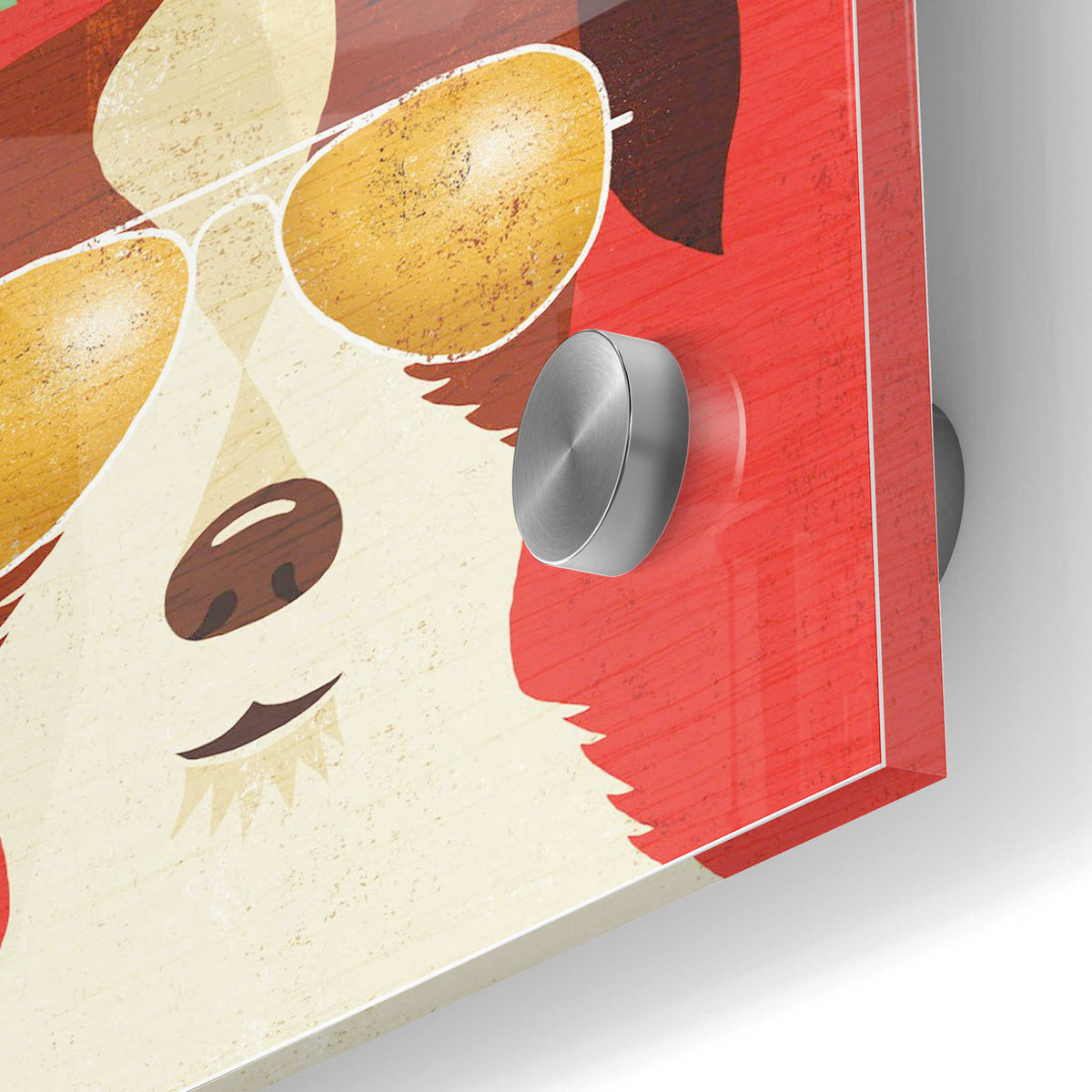 Epic Art 'Beach Bums Terrier I Wanted' by Michael Mullan, Acrylic Glass Wall Art,24x36