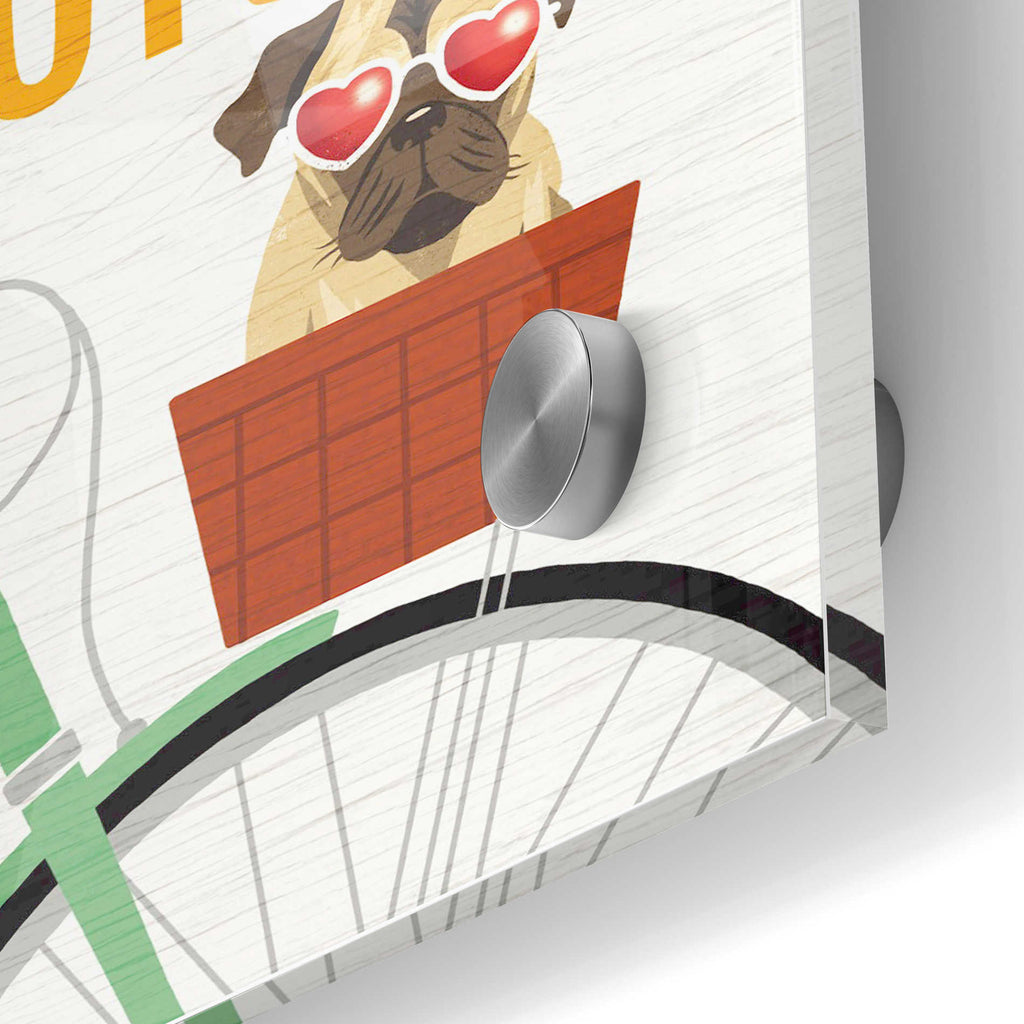 Epic Art 'Beach Bums Pug Bicycle I Love' by Michael Mullan, Acrylic Glass Wall Art,24x36
