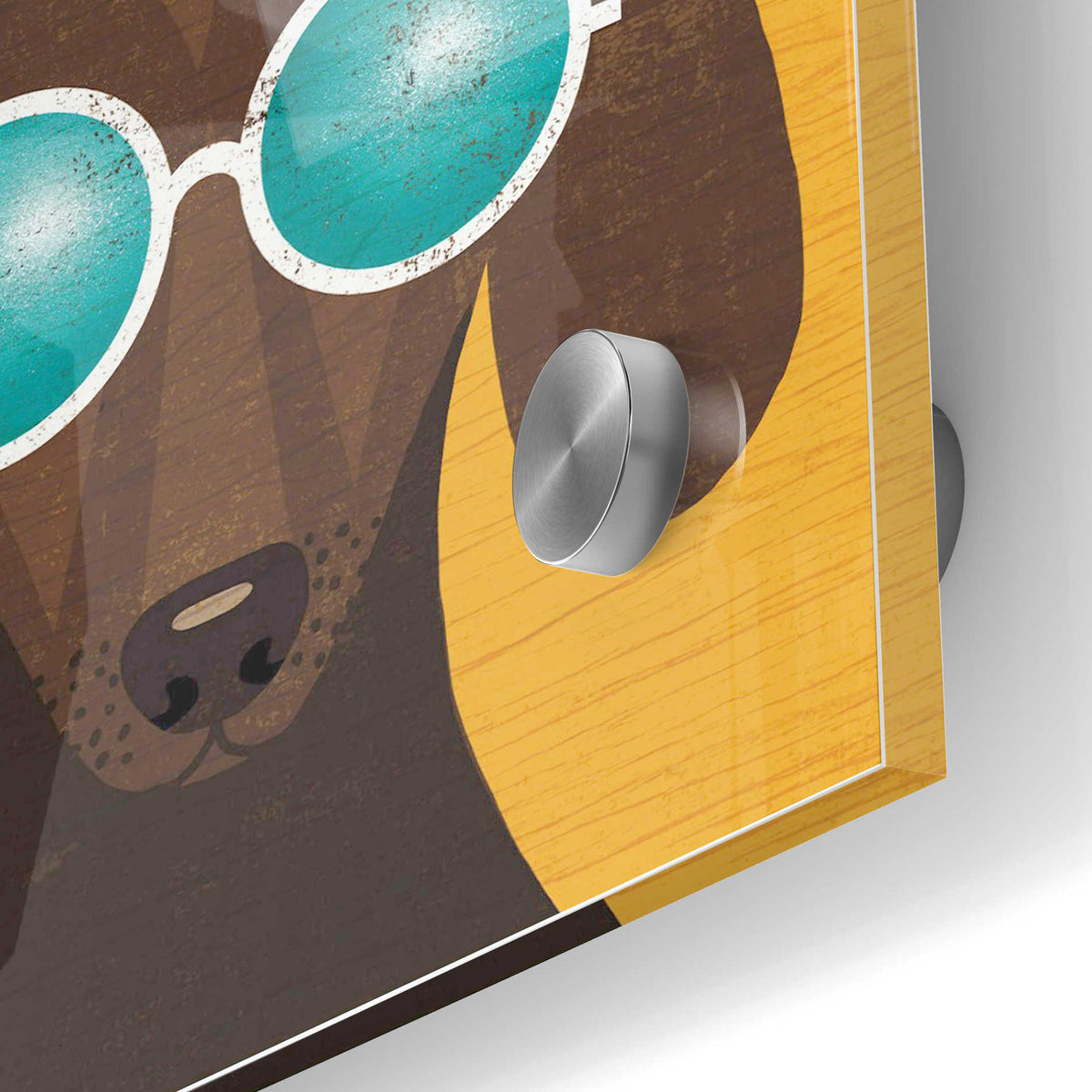 Epic Art 'Beach Bums Dachshund I Bum' by Michael Mullan, Acrylic Glass Wall Art,24x36