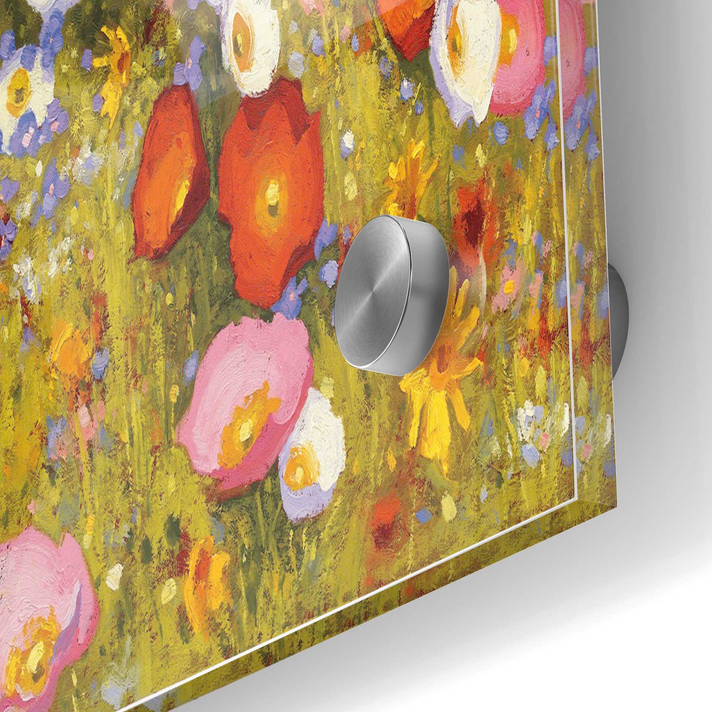 Epic Art 'Champ de Fleur III' by Shirley Novak, Acrylic Glass Wall Art,24x36