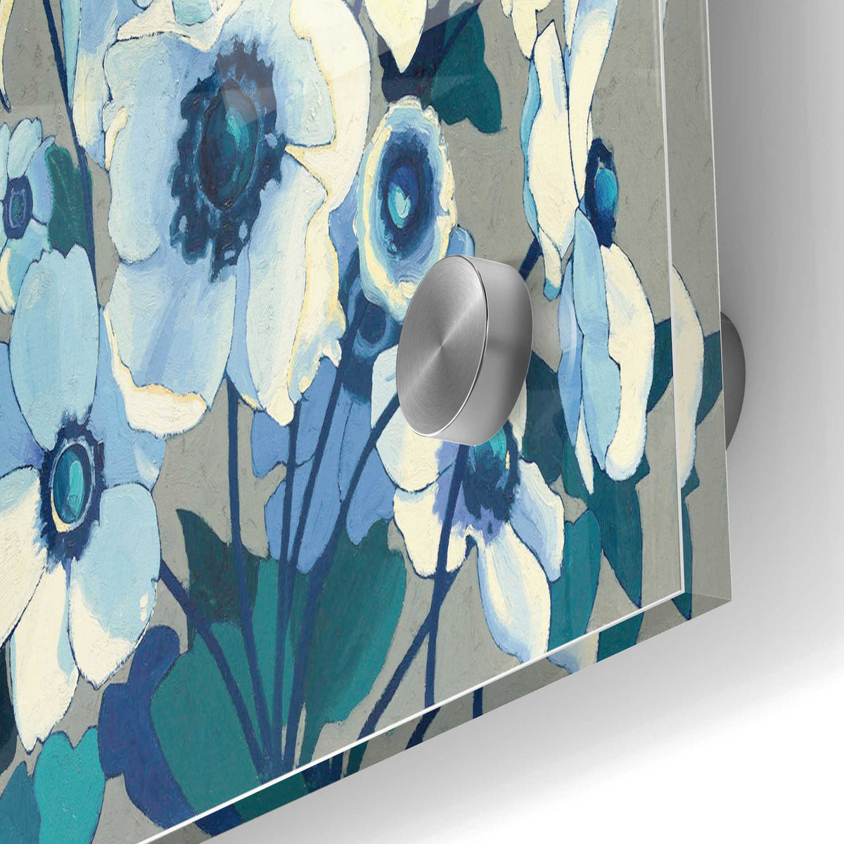 Epic Art 'Anemones Japonaises I' by Shirley Novak, Acrylic Glass Wall Art,24x36