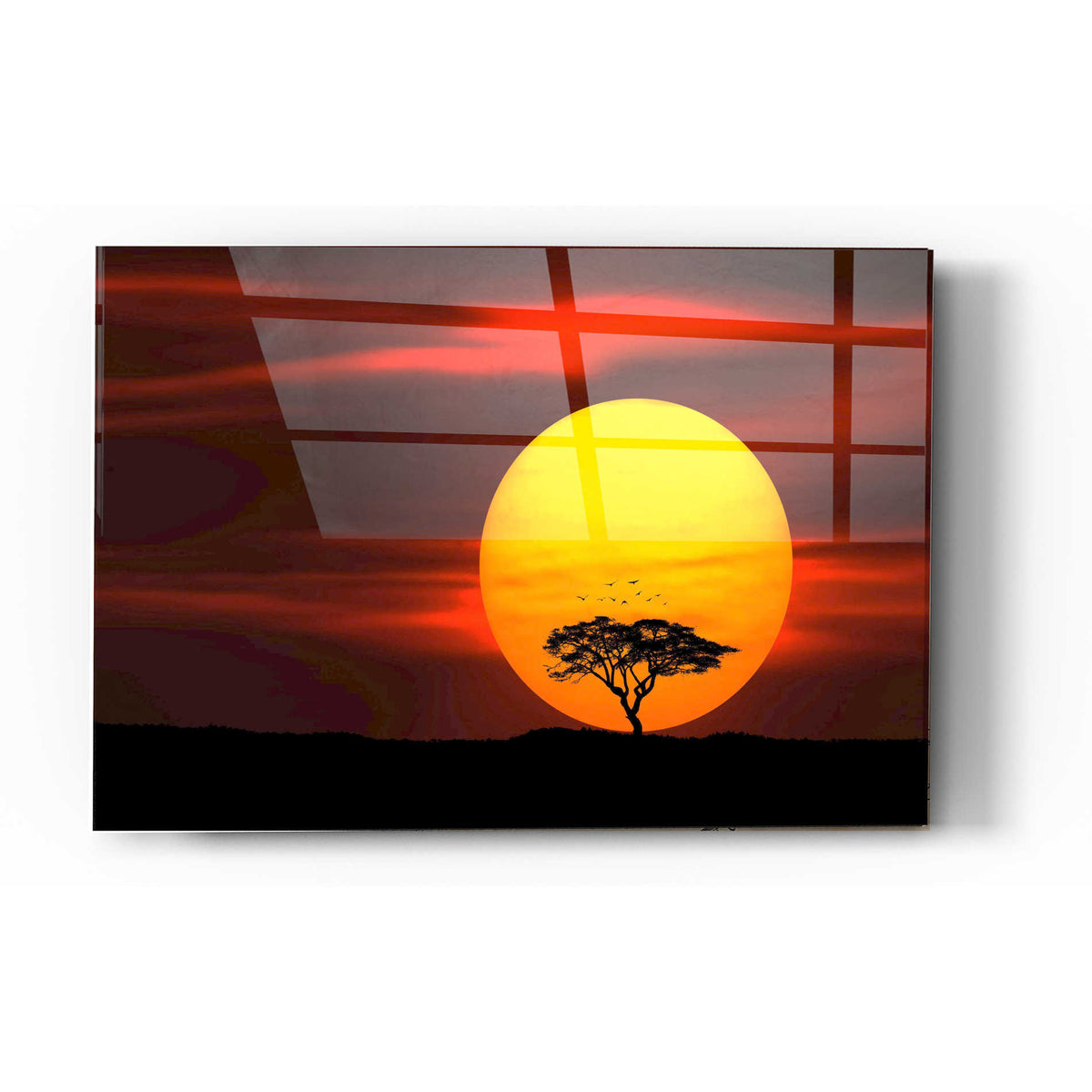Epic Art "Circle of Life" Acrylic Glass Wall Art,24x36