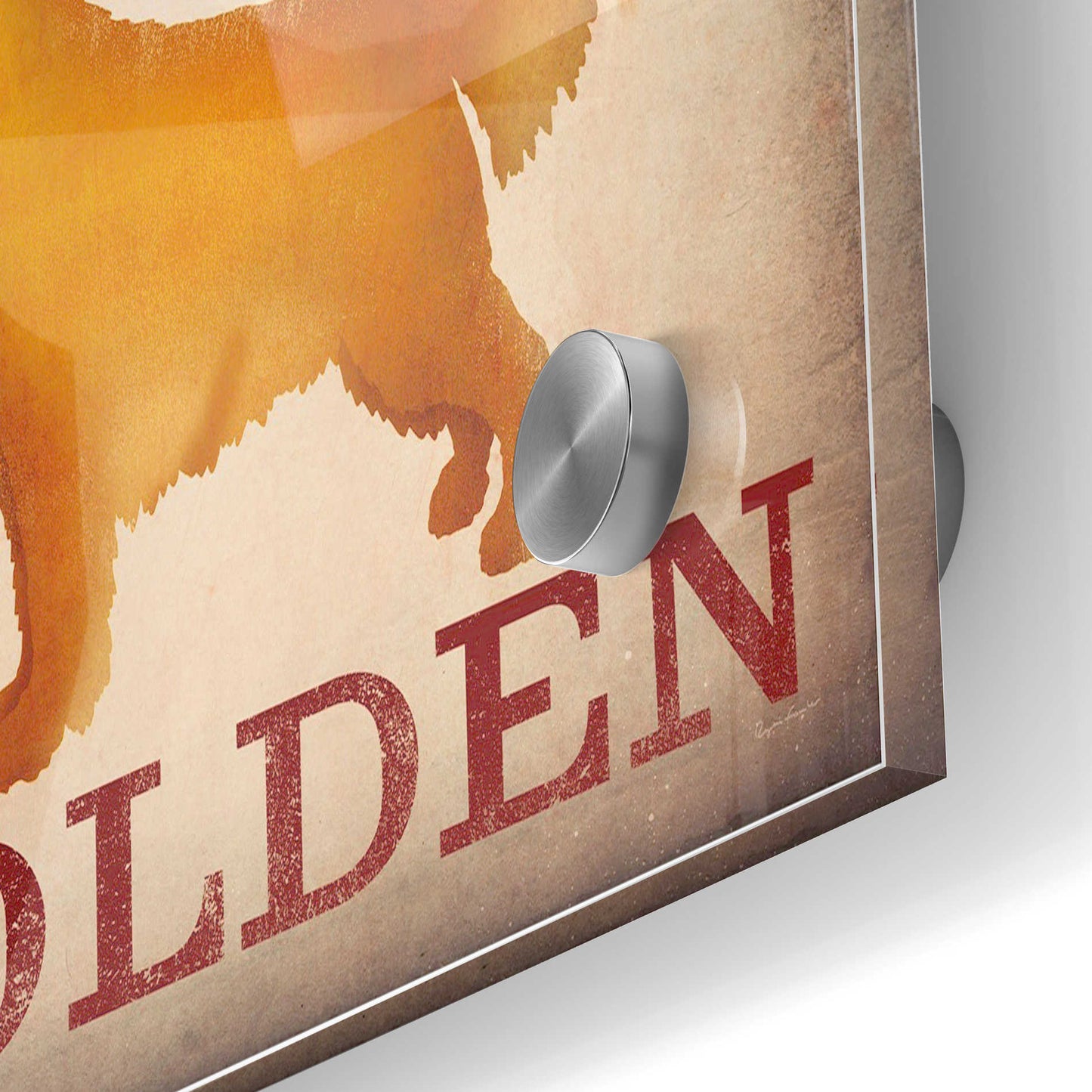 Epic Art 'Golden Dog at Show Love III' by Ryan Fowler, Acrylic Glass Wall Art,24x36