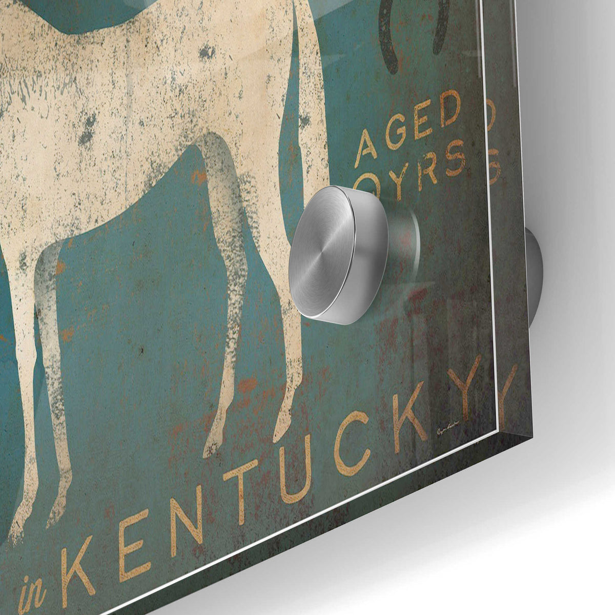 Epic Art 'White Horse with Words Blue' by Ryan Fowler, Acrylic Glass Wall Art,24x36