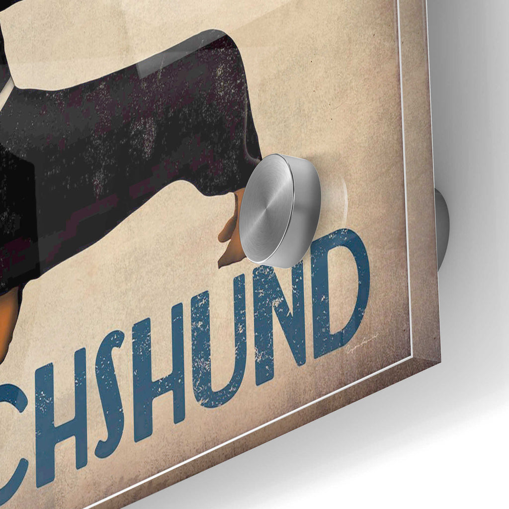 Epic Art 'Dachshund Longboards - Love v2' by Ryan Fowler, Acrylic Glass Wall Art,24x36