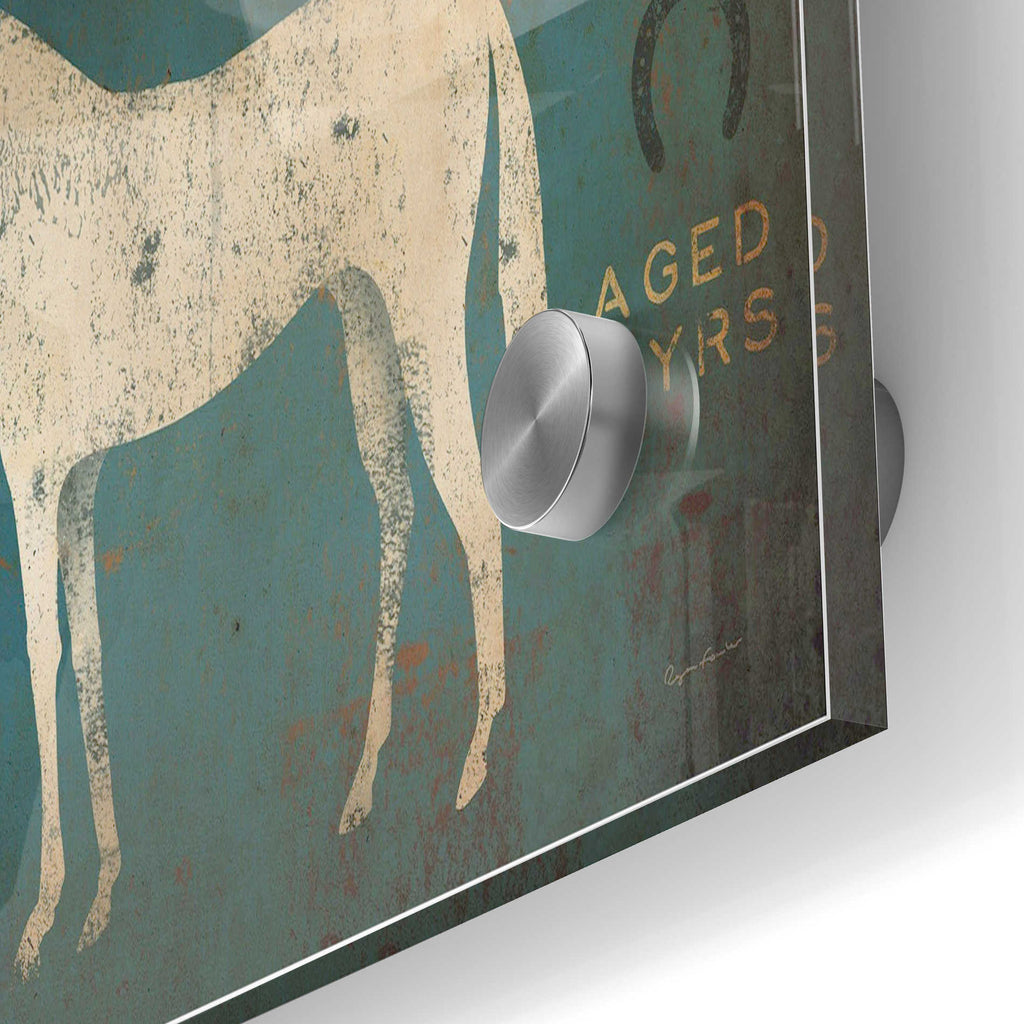 Epic Art 'White Horse No Kentucky' by Ryan Fowler, Acrylic Glass Wall Art,24x36