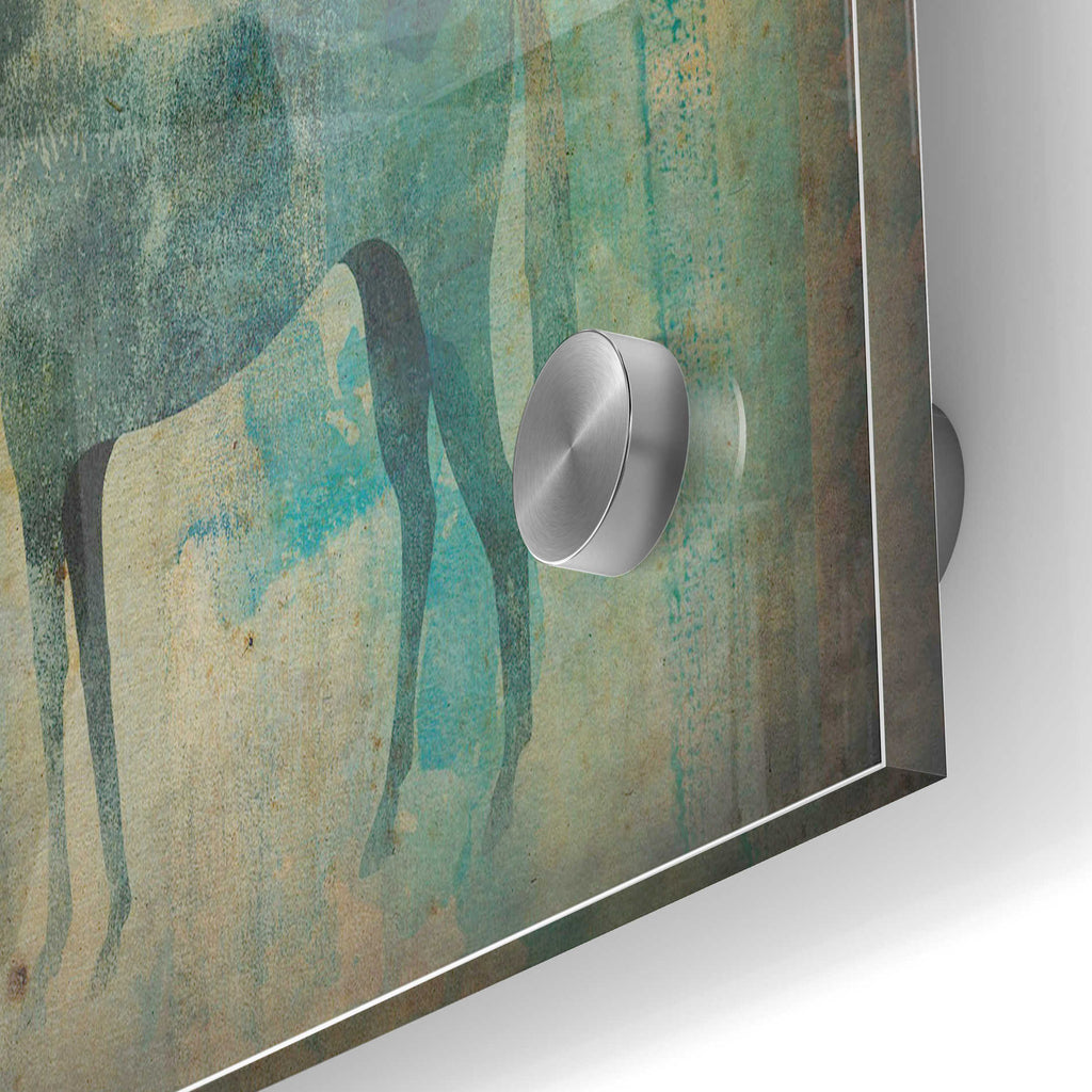 Epic Art 'Cheval Noir v3' by Ryan Fowler, Acrylic Glass Wall Art,24x36
