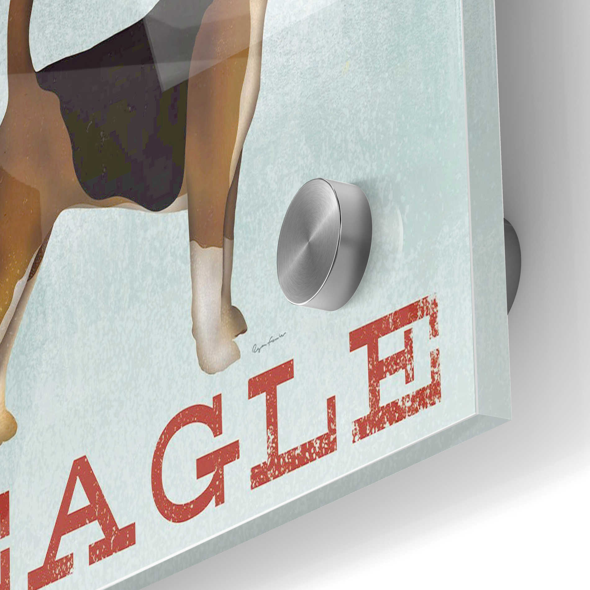 Epic Art 'Beagle Canoe - I Love My Beagle II' by Ryan Fowler, Acrylic Glass Wall Art,24x36
