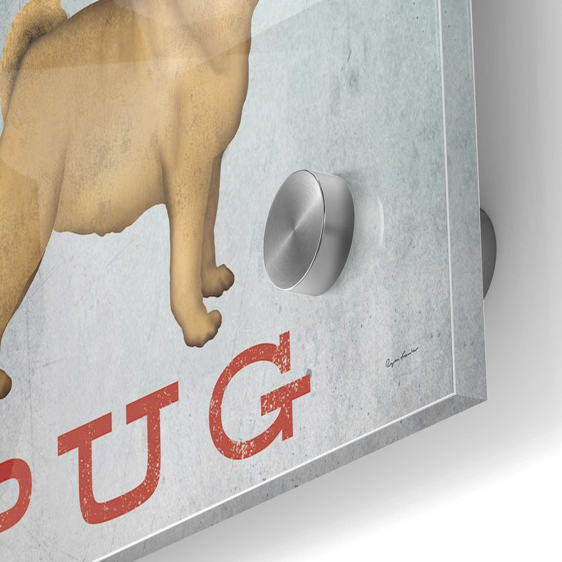 Epic Art 'I Love My Pug I' by Ryan Fowler, Acrylic Glass Wall Art,24x36
