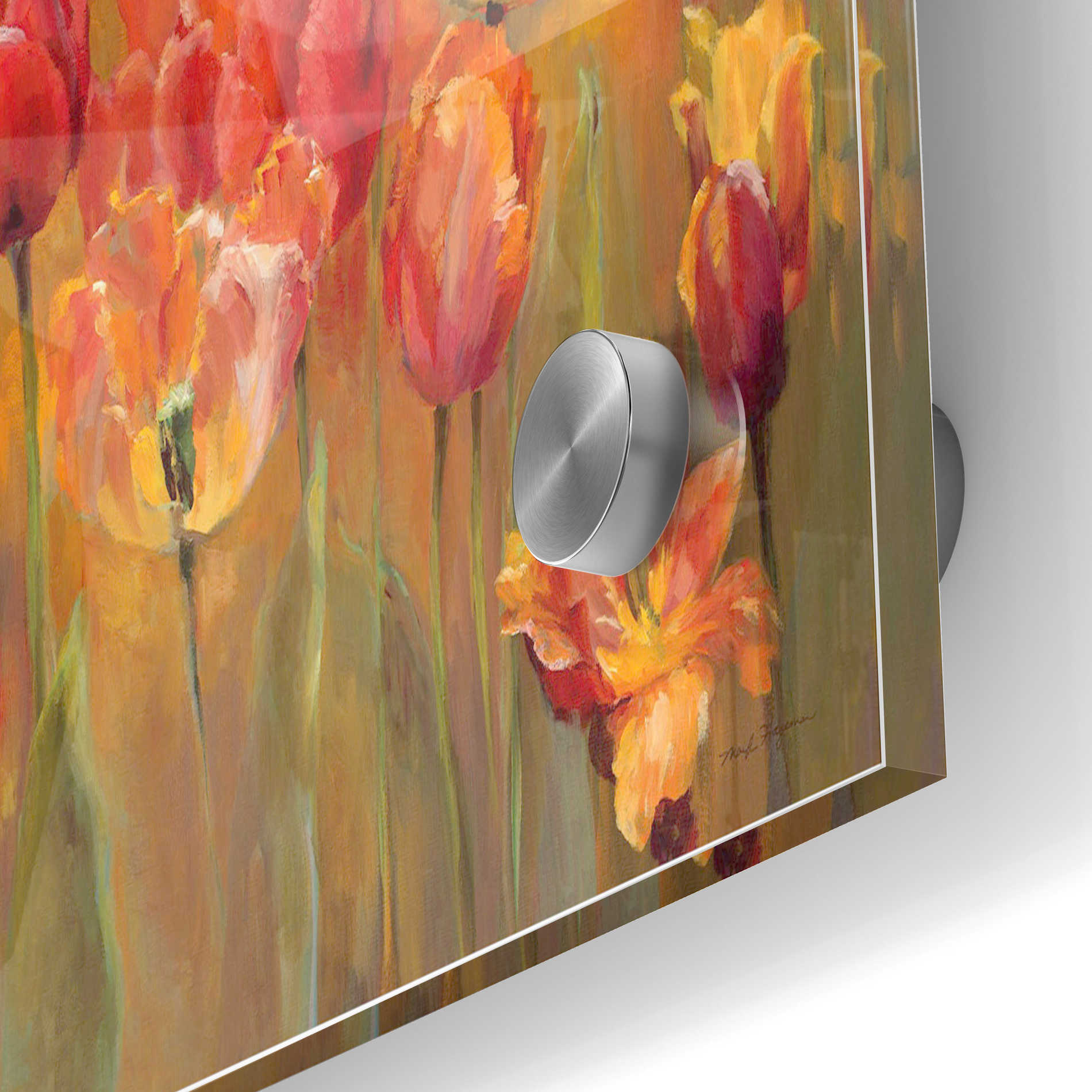 Epic Art 'Tulips in the Midst III' by Marilyn Hageman, Acrylic Glass Wall Art,24x36